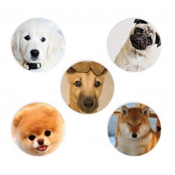 Sticker set Freestyle Libre - Dogs
