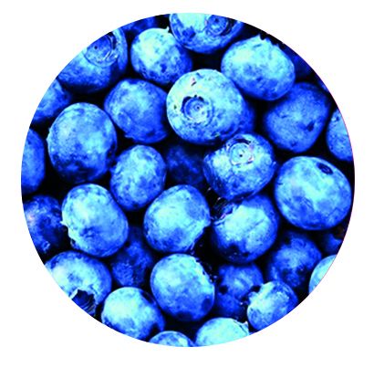 Freestyle Libre sensor sticker - Blueberry